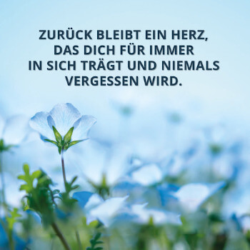 Zur Trauerspruch-Galerie